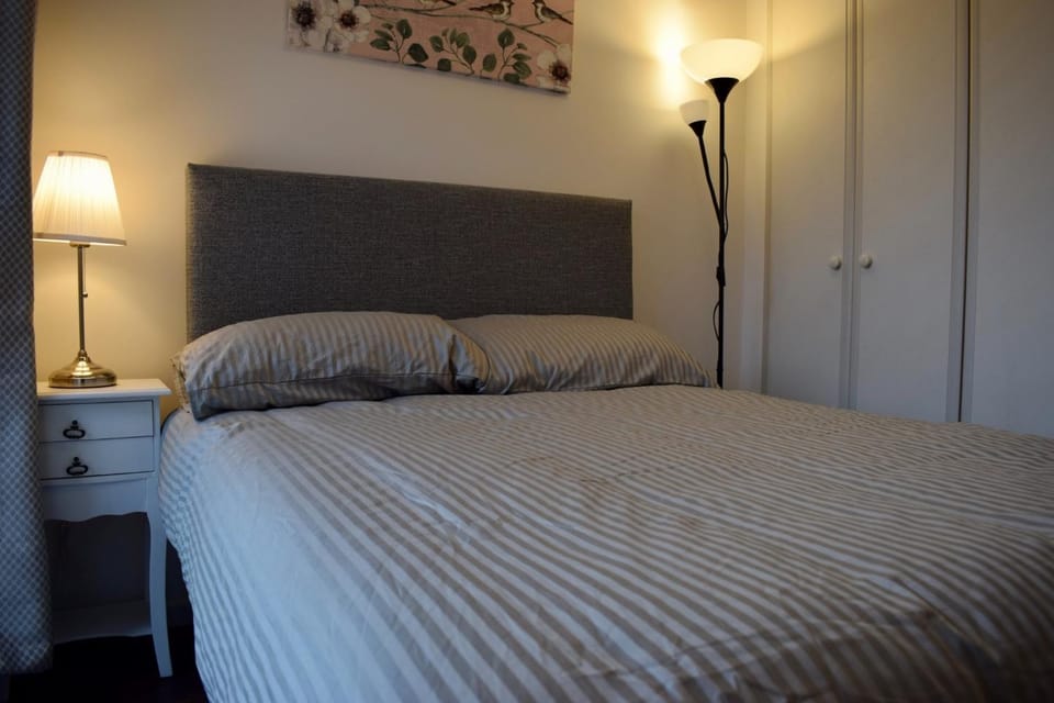 2 Bedroom Apartment near historical Christchurch Apartment in Dublin
