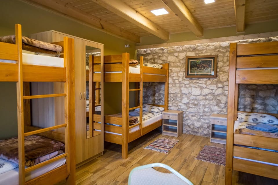 Bed, Photo of the whole room, Bedroom, bunk bed