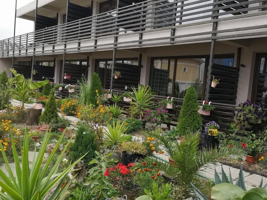 Property building, Facade/entrance, Garden