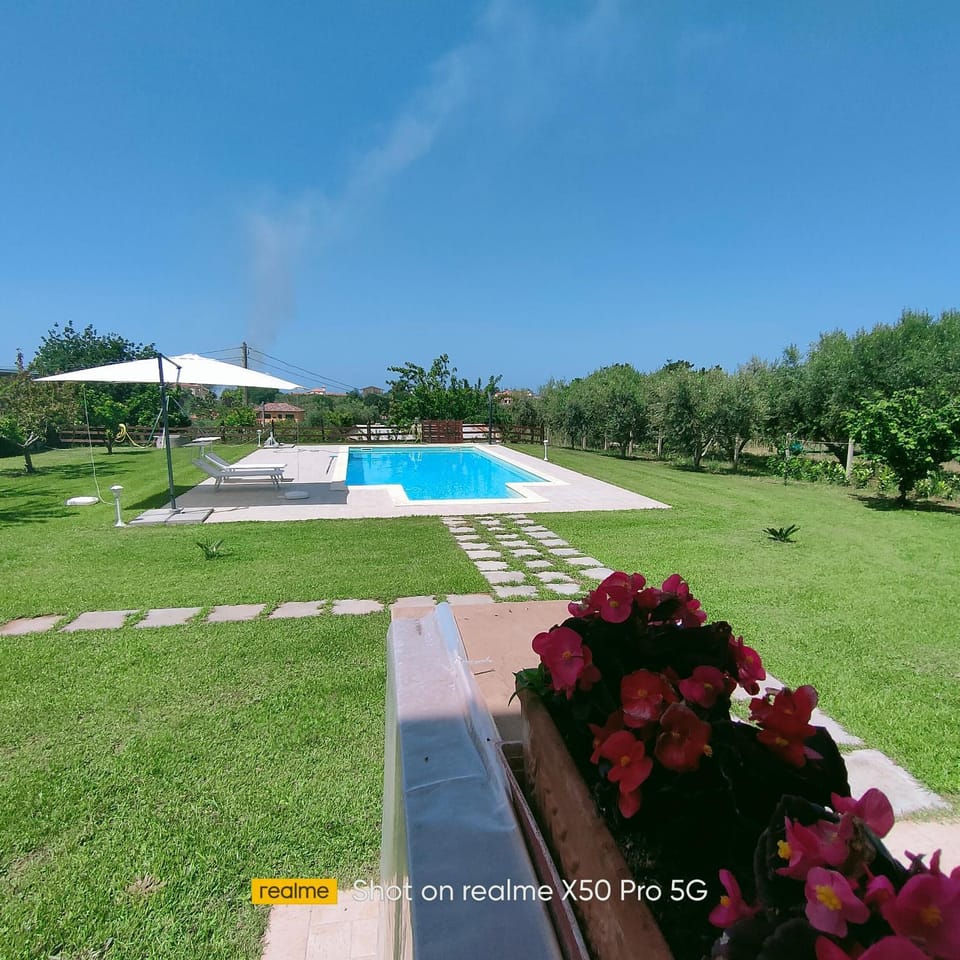 Solarium, Pool view, Swimming pool