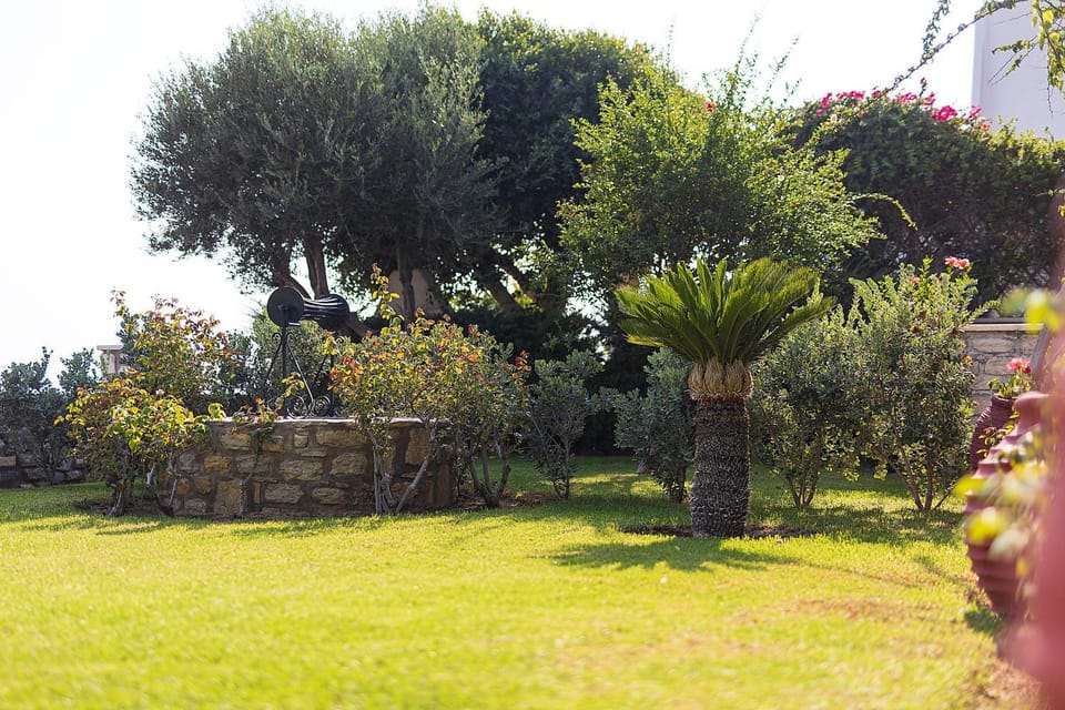 Day, Natural landscape, Garden, Garden view