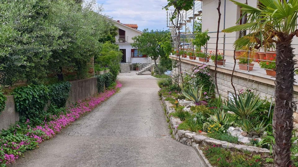 Property building, Summer, Garden