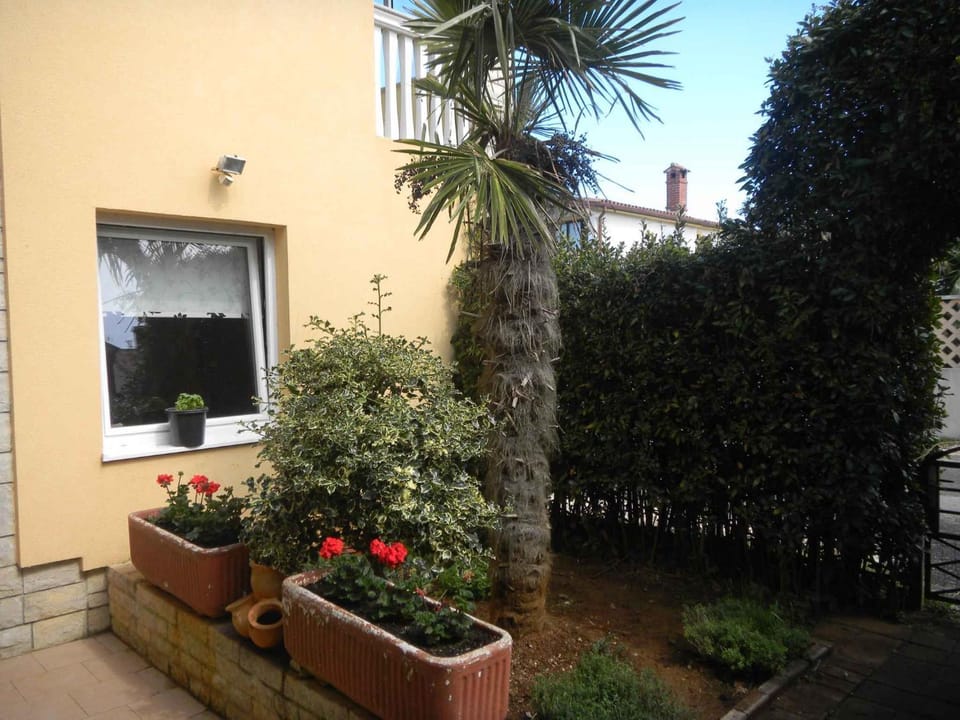 Property building, Summer