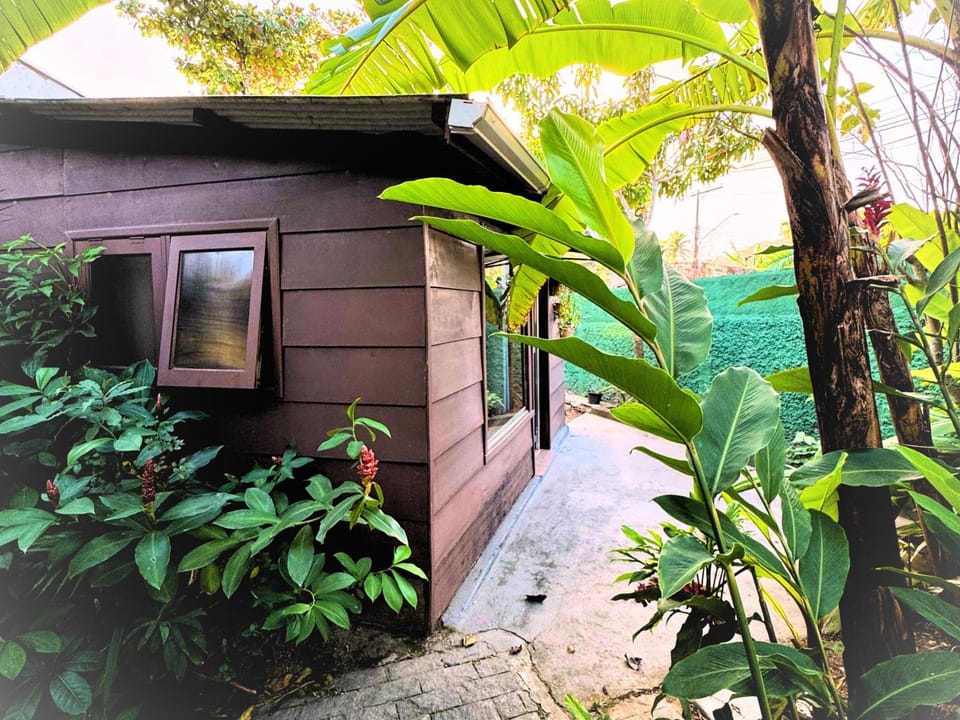 Property building, Day, Garden, Garden view