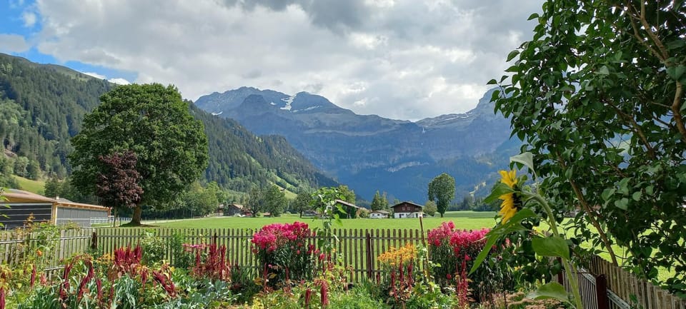 View (from property/room)