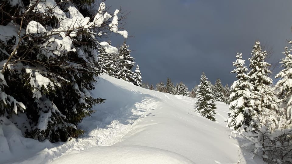 Pension Arnika Bed and Breakfast in Bavaria