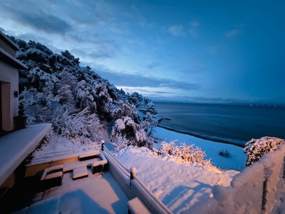 Winter, Garden, Sea view