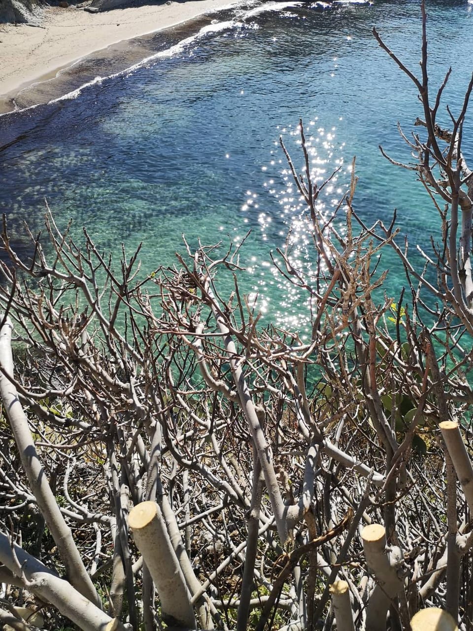 Natural landscape, View (from property/room)