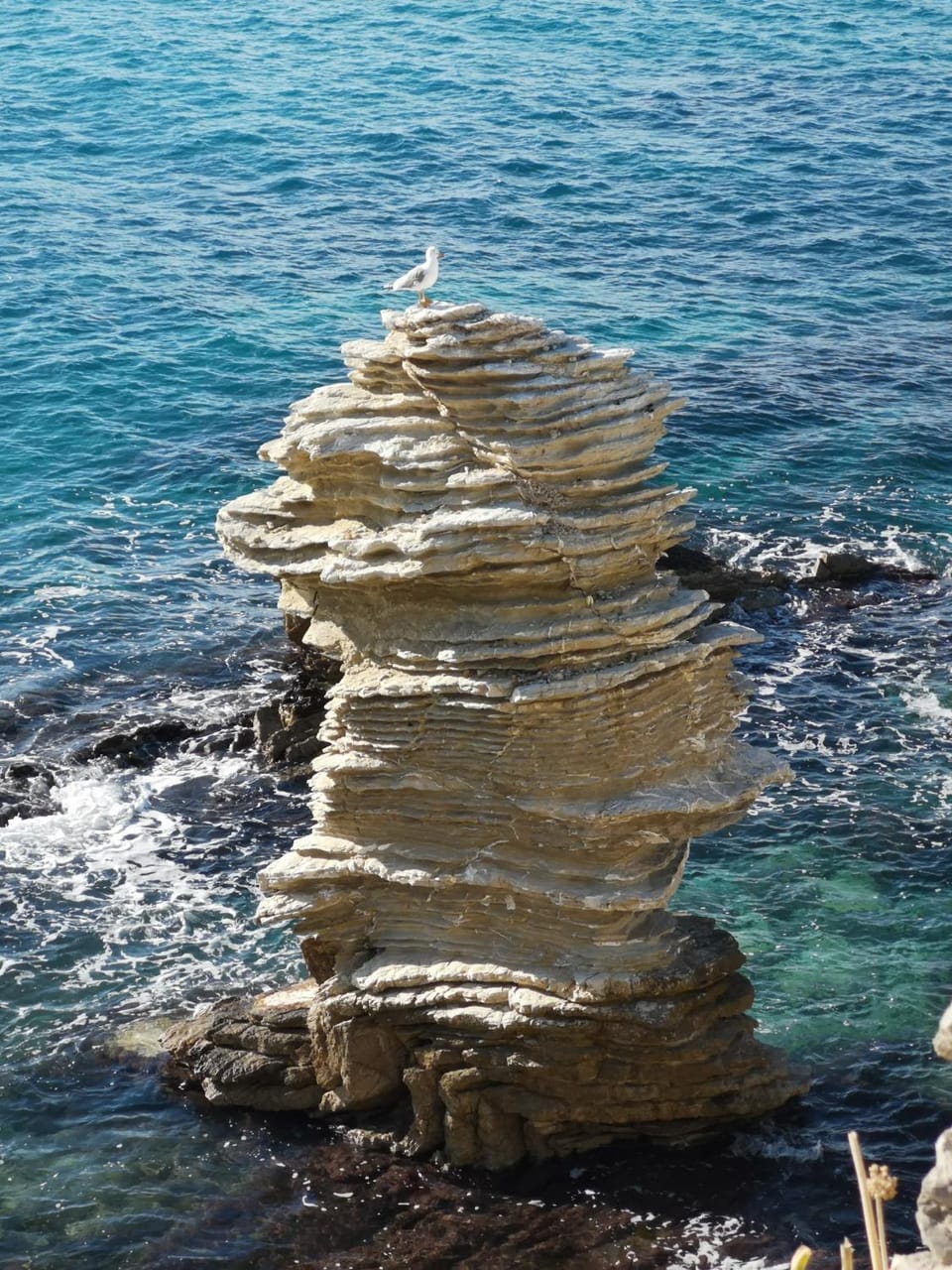 Natural landscape