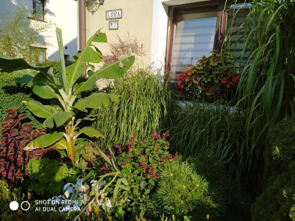 Property building, Garden