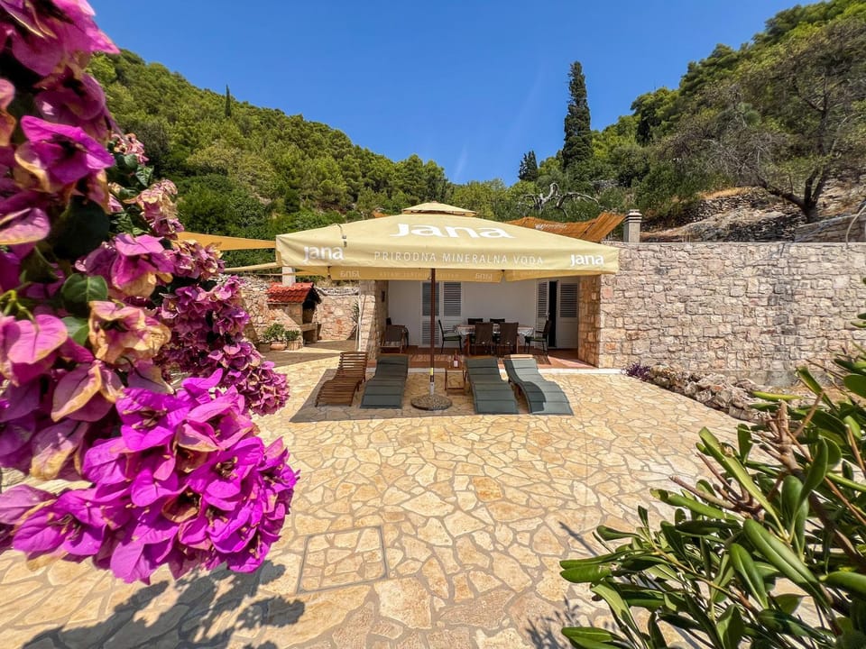 Property building, Patio, Garden, sunbed