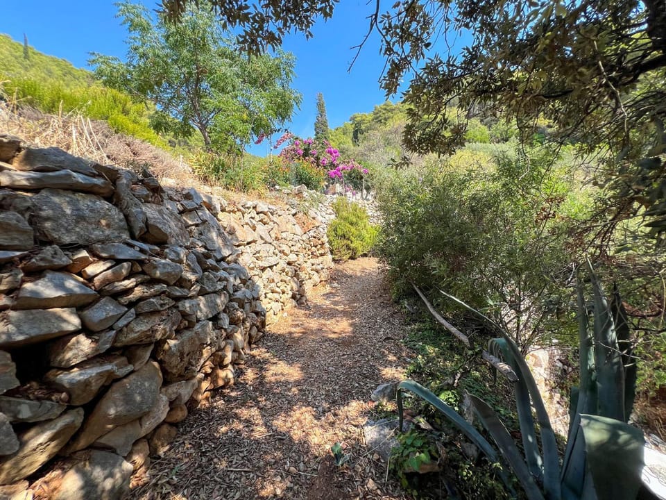 Natural landscape, Garden