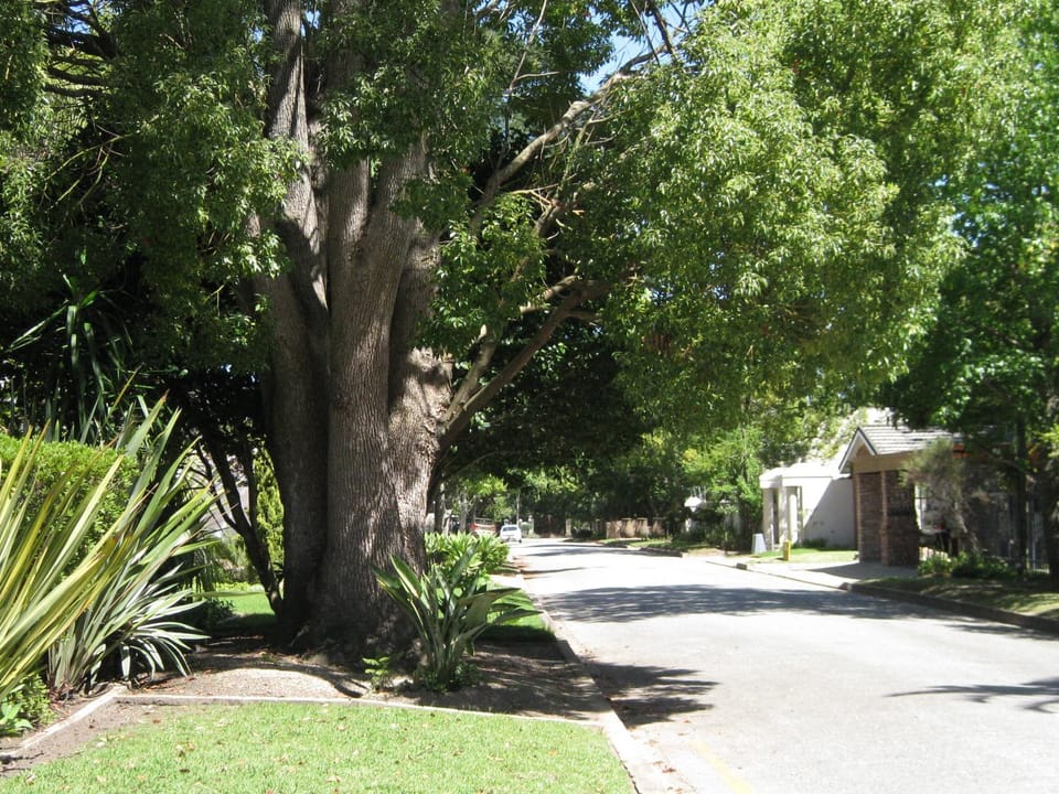 Property building, Neighbourhood, Street view