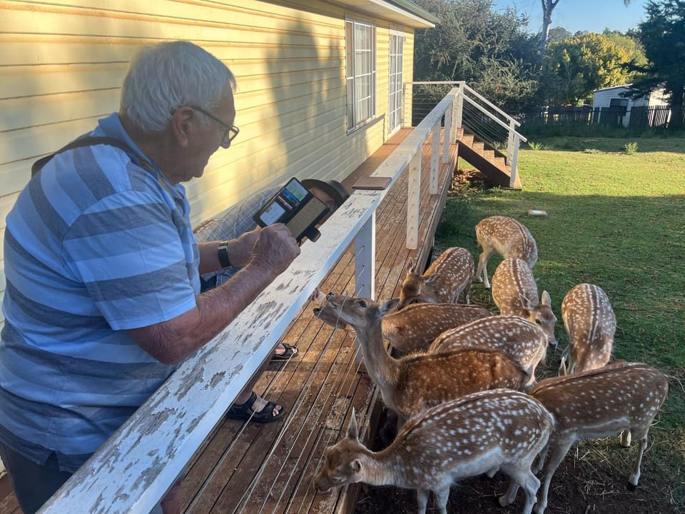 People, Animals, group of guests
