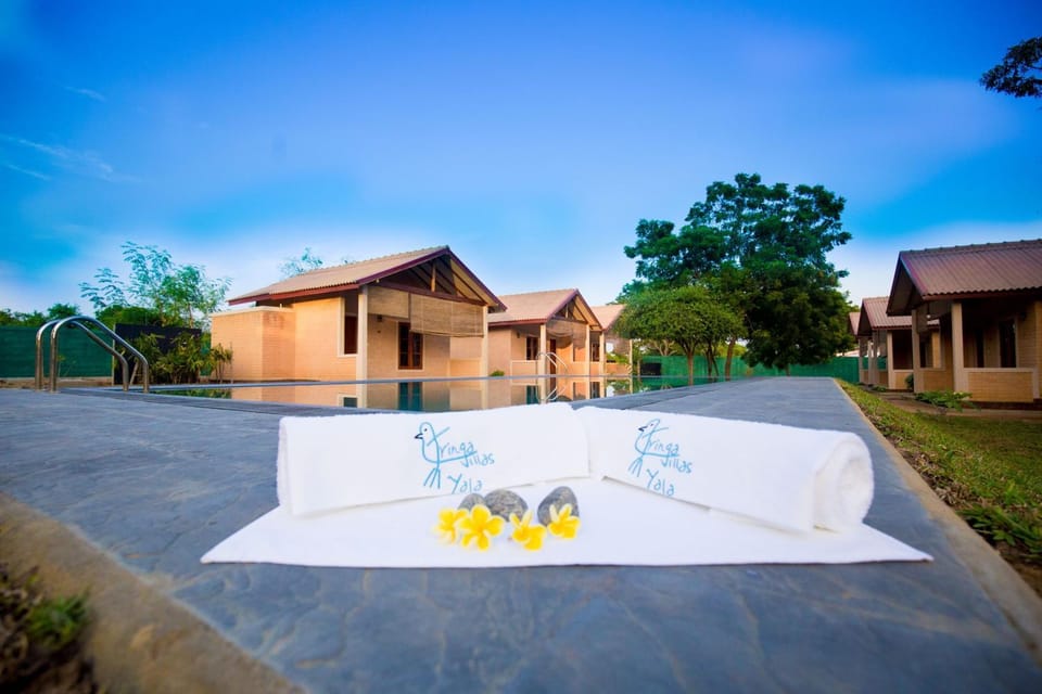 Property building, Bird's eye view, Decorative detail, Evening entertainment, Garden view