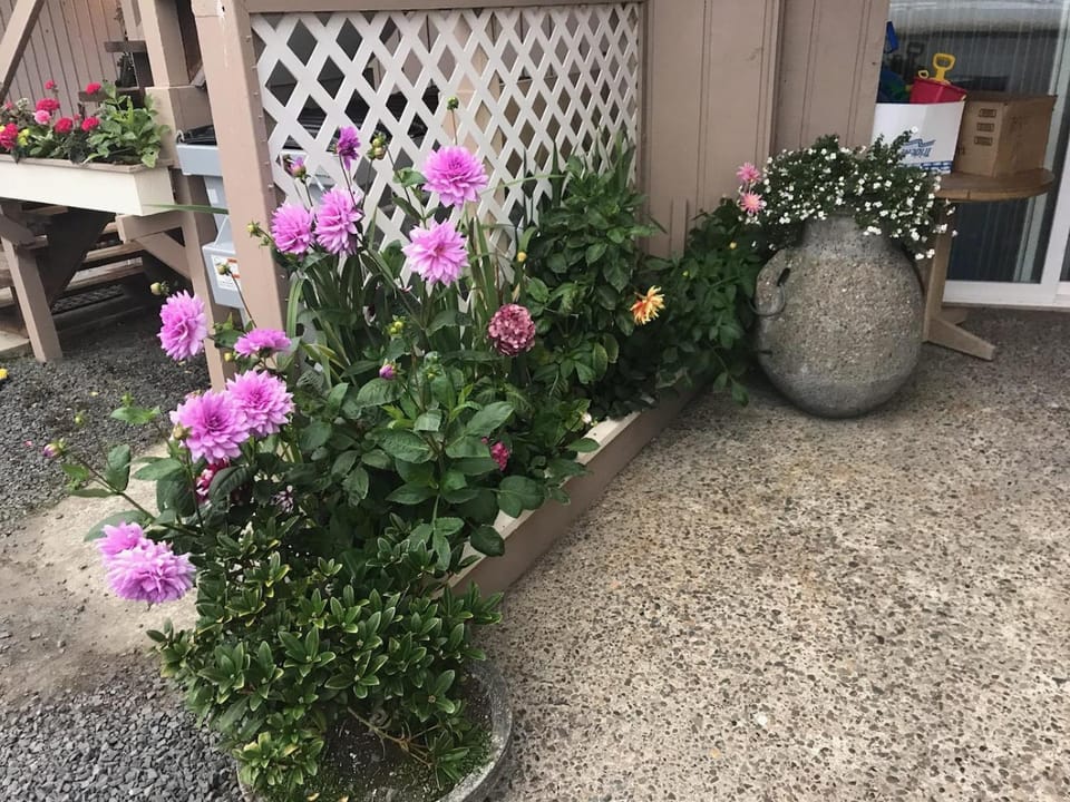 Facade/entrance, Garden