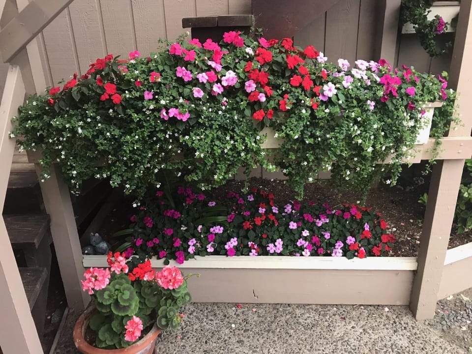 Garden, Balcony/Terrace
