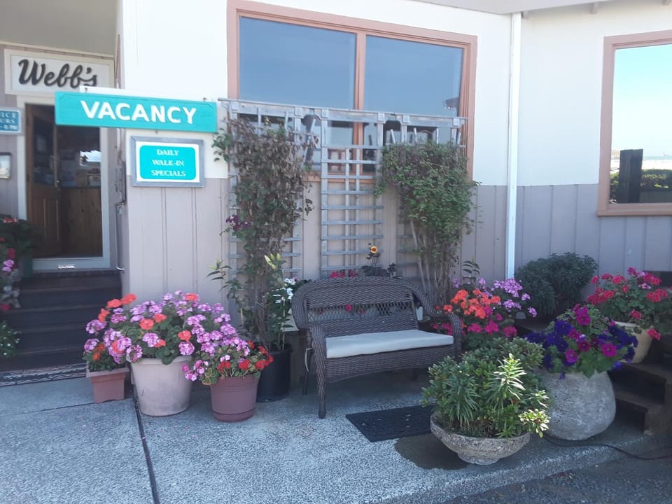 Facade/entrance, Garden