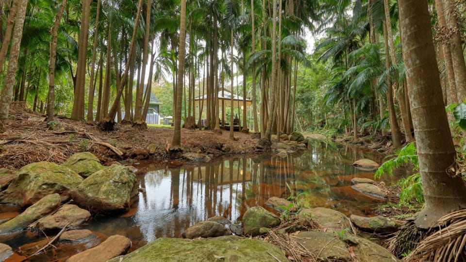 Natural landscape