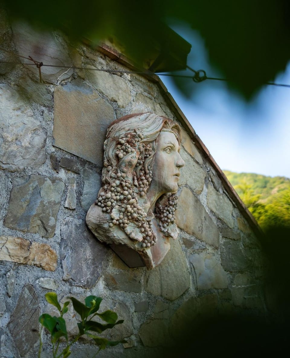 Agriturismo I due Ghiri - Cinque Terre Farm Stay in Province of Massa and Carrara