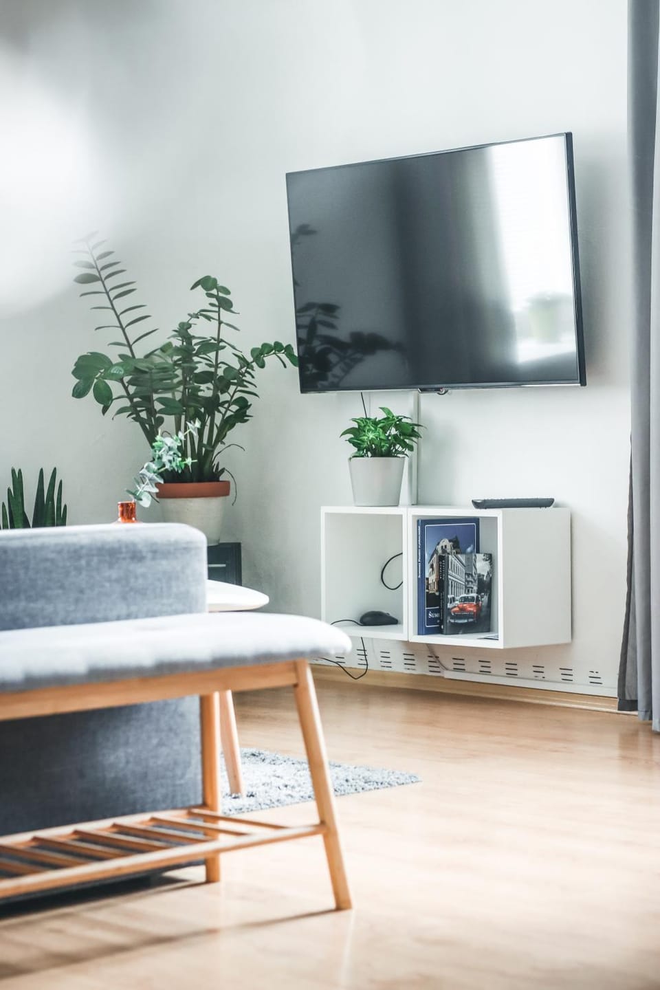 TV and multimedia, Living room