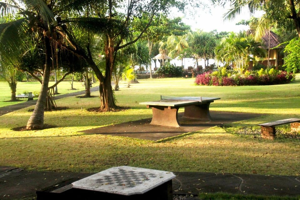 Garden, Table tennis