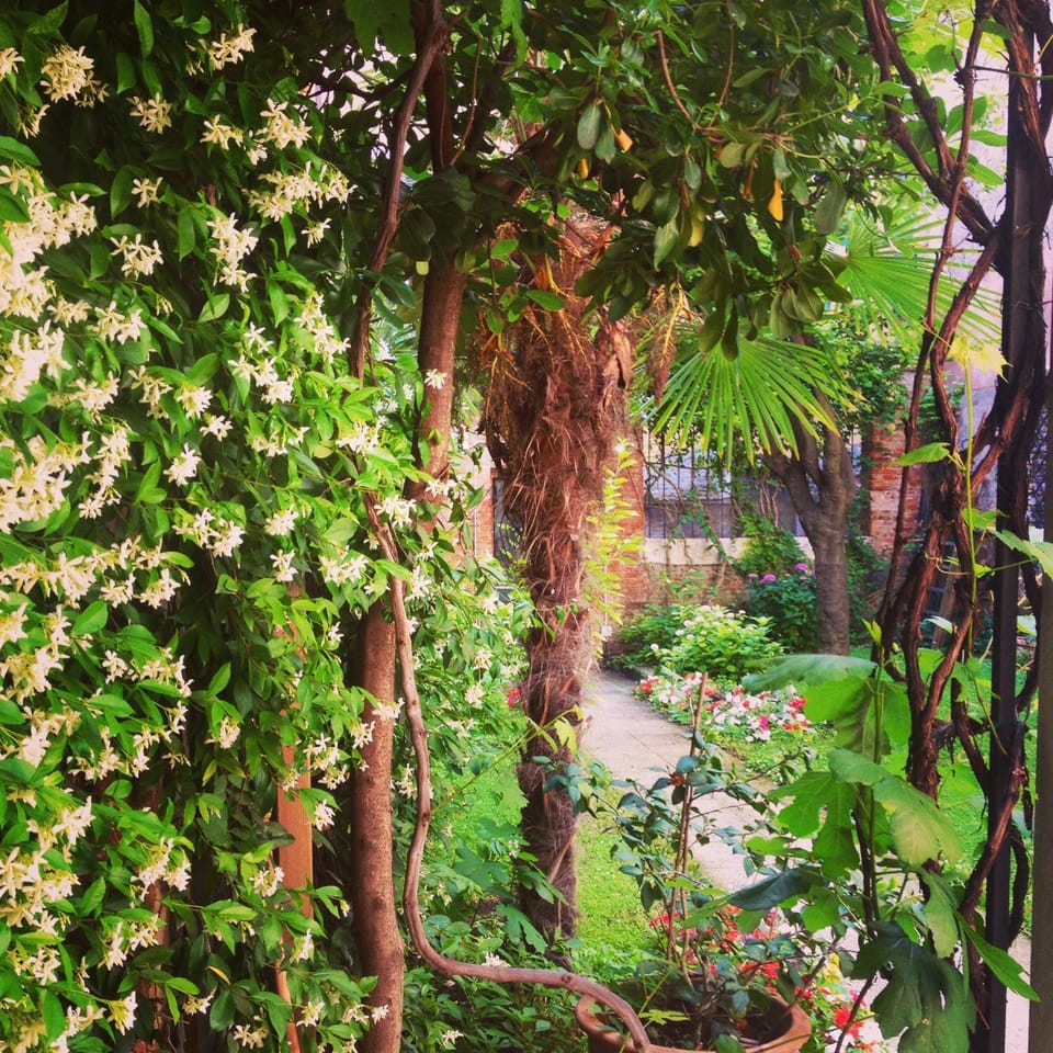 Garden, Garden