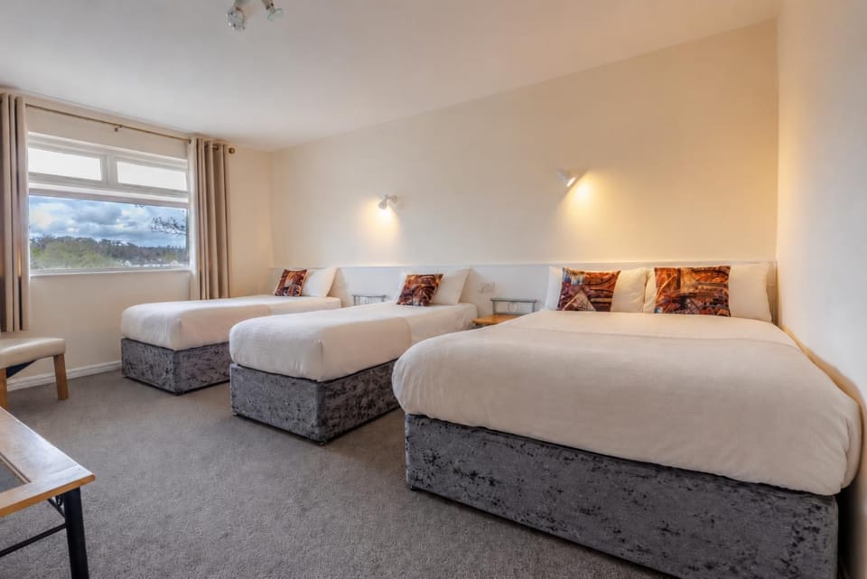 Bed, Photo of the whole room, Bedroom, Family