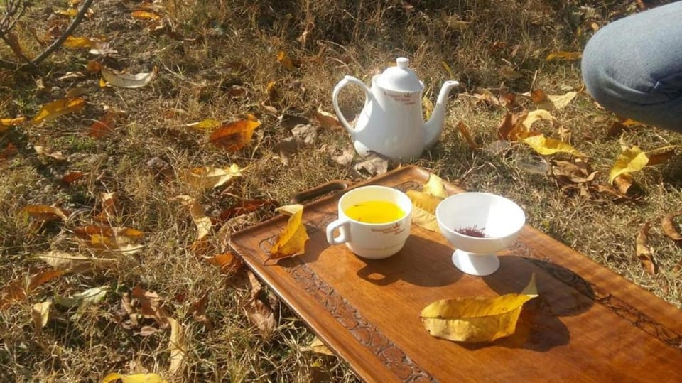 Coffee/tea facilities, Autumn