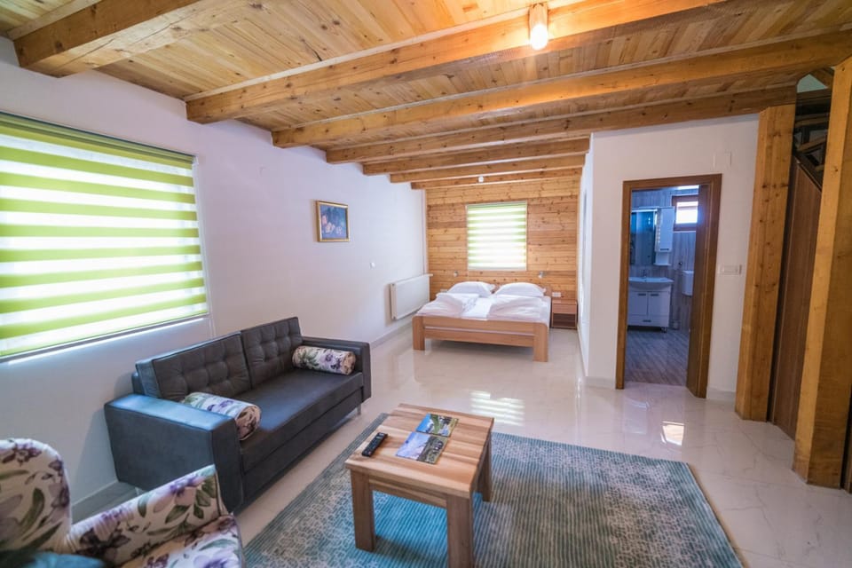 Shower, Toilet, Bed, Bathroom, TV and multimedia, Balcony/Terrace, Living room, Photo of the whole room, Decorative detail, Seating area, Bedroom, Garden view, Mountain view, River view, Inner courtyard view