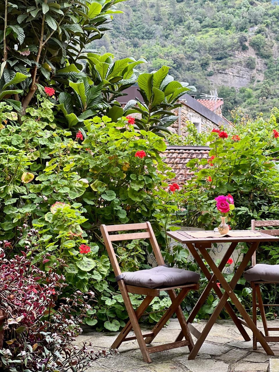 Natural landscape, Garden view