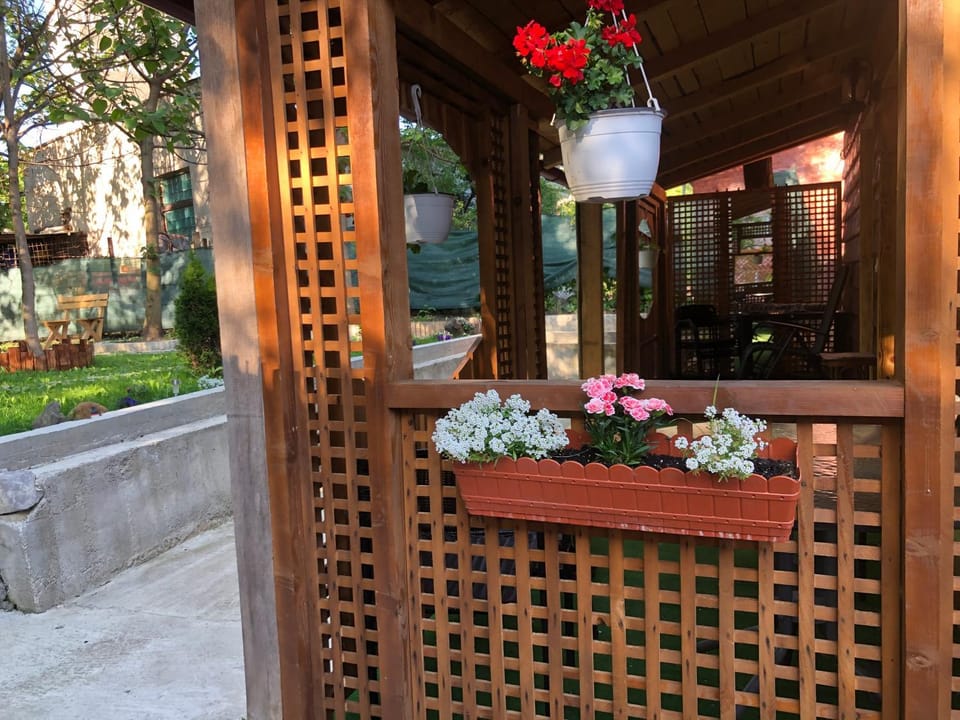 Casa Anina Bed and Breakfast in Serbia