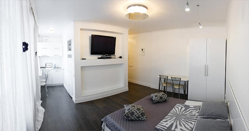 Great Studio near the Pechersk Apartment in Kiev City - Kyiv
