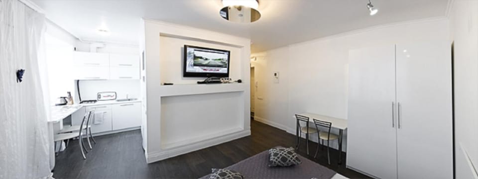 Great Studio near the Pechersk Apartment in Kiev City - Kyiv