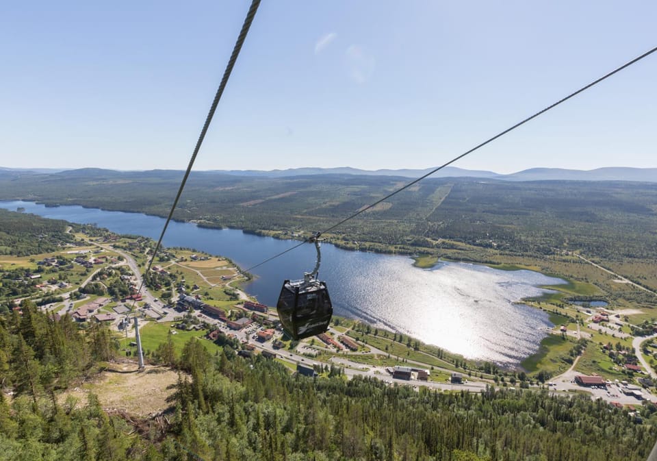 Day, Bird's eye view, Summer