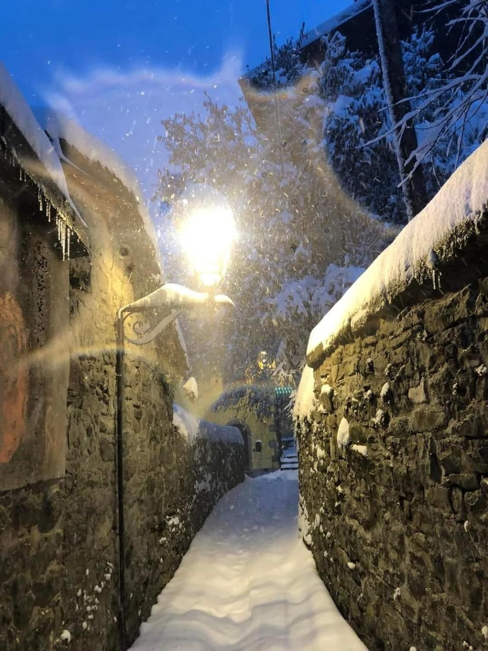 Winter