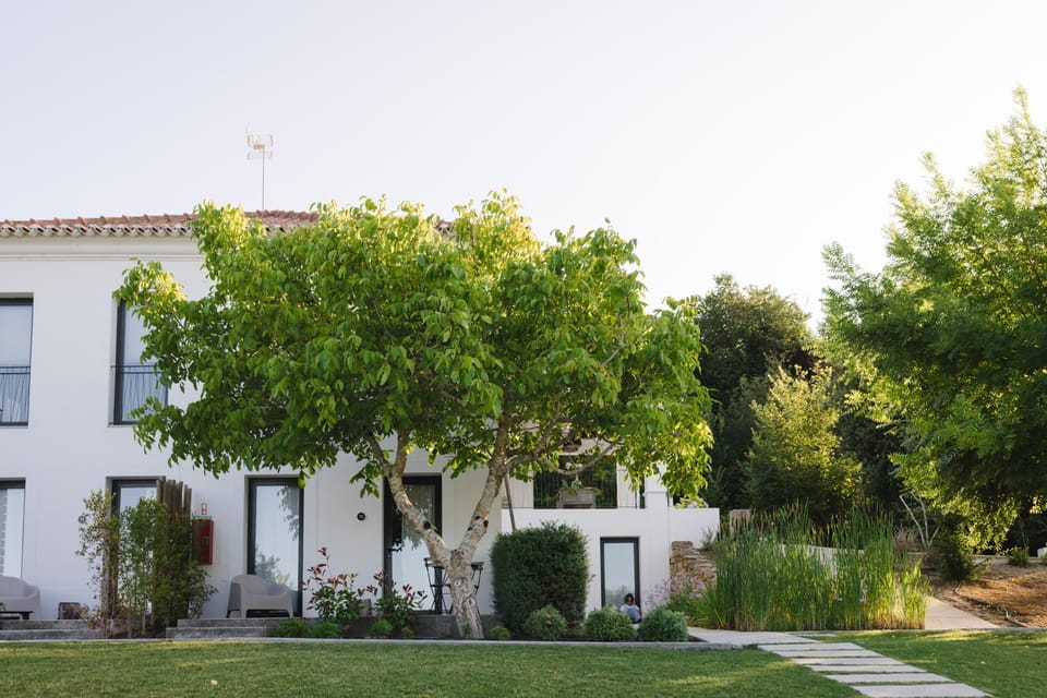 Property building, Garden, Garden view
