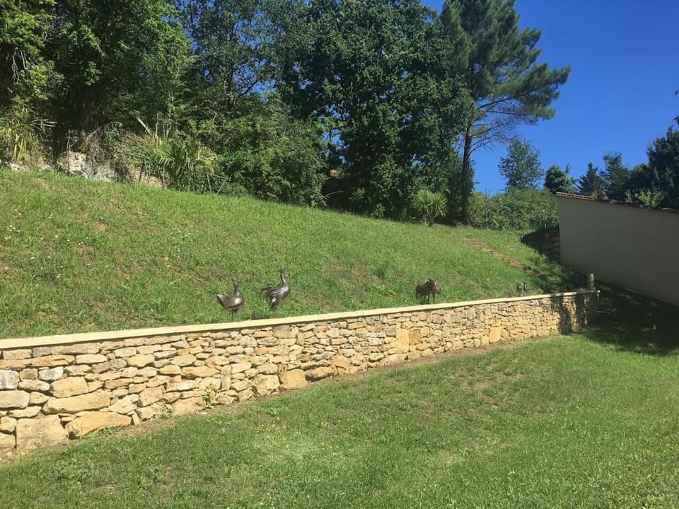 View (from property/room), Garden view