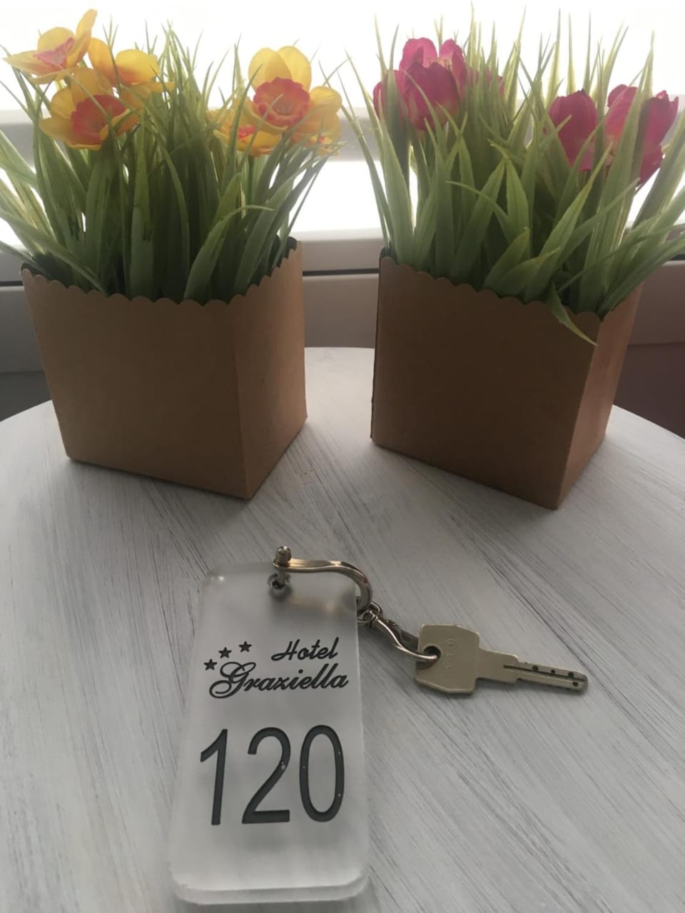 Hotel Graziella Hotel in Spotorno