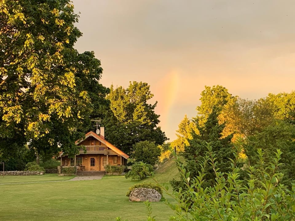 Natural landscape, Garden, Garden view, Sunset