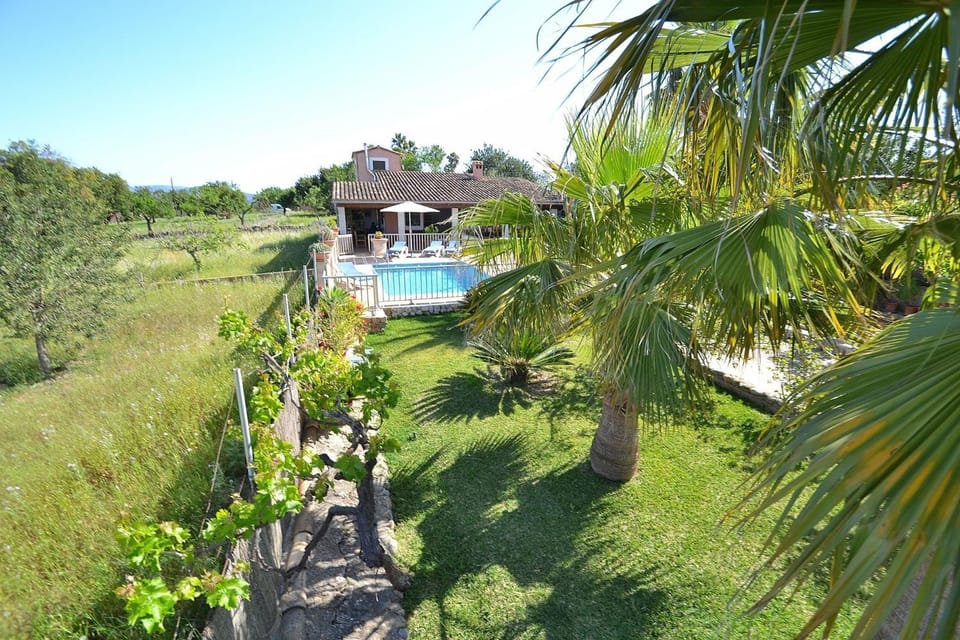 Patio, Spring, Day, Natural landscape, Garden, Garden view, Pool view, Swimming pool