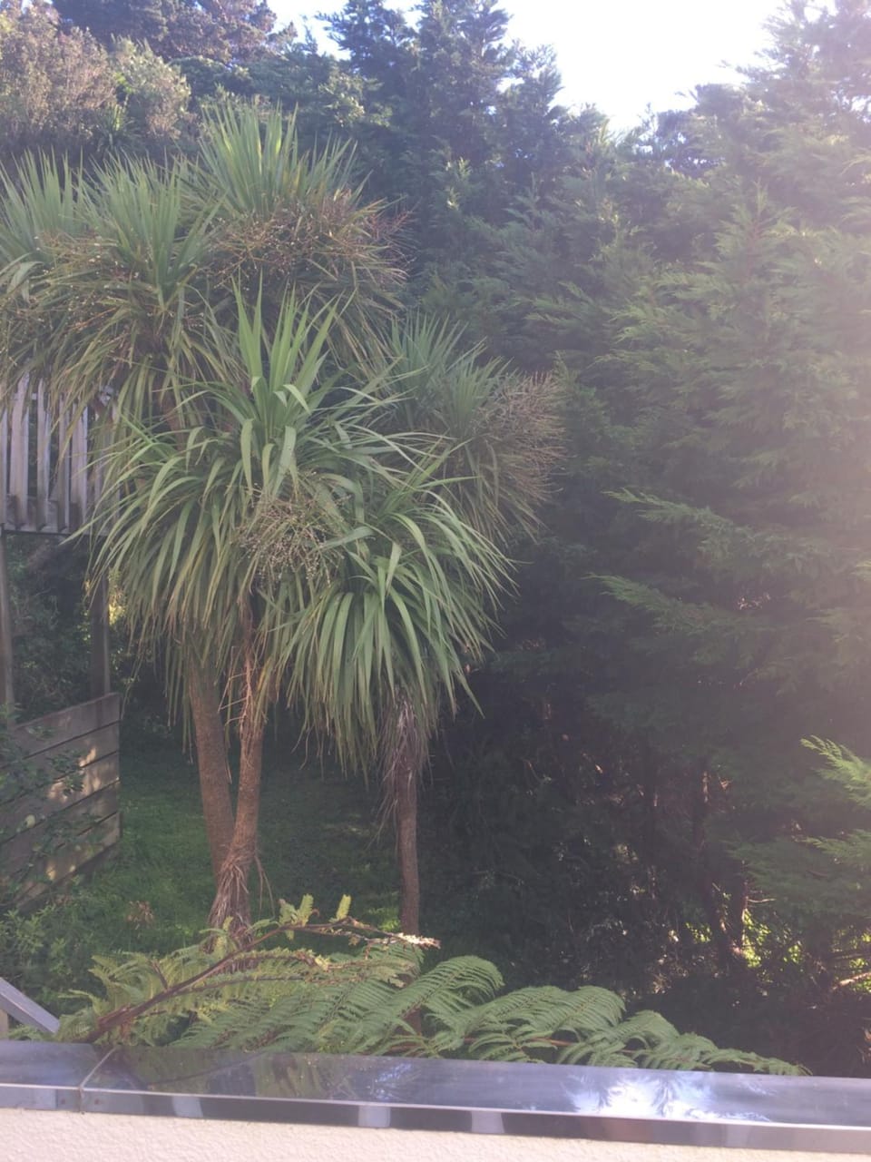 Garden view