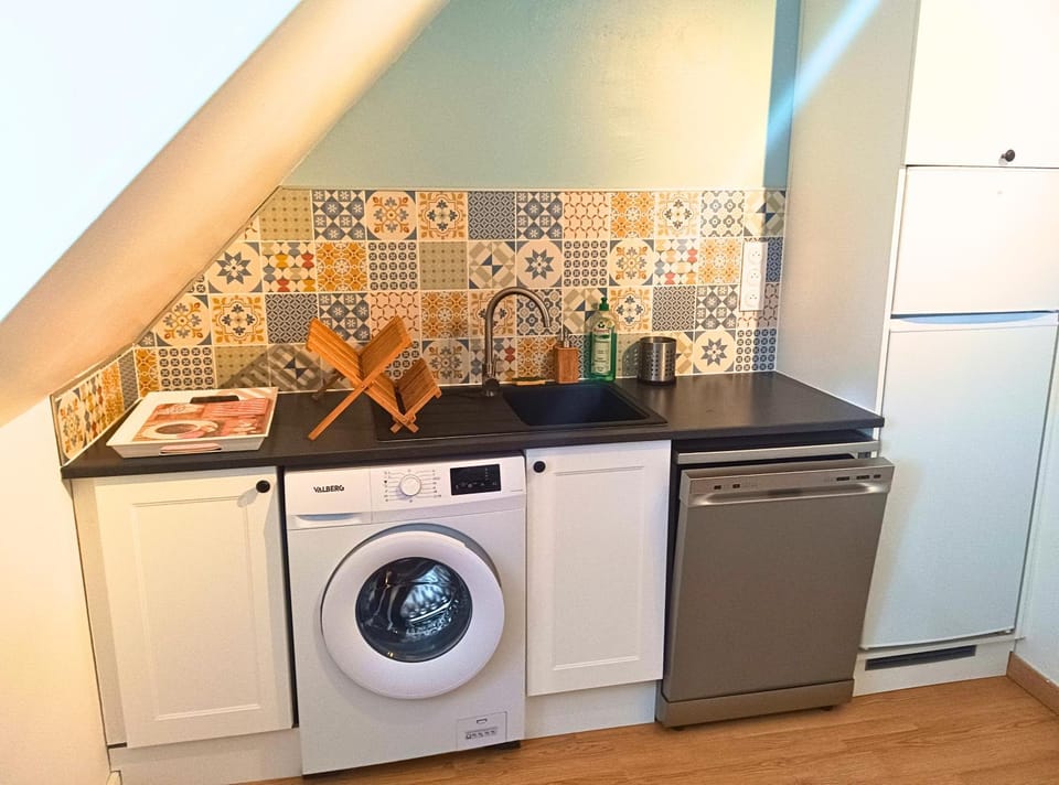 dishwasher, washing machine, kitchen