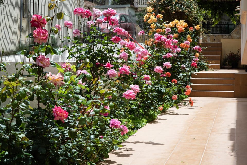 Facade/entrance, Garden