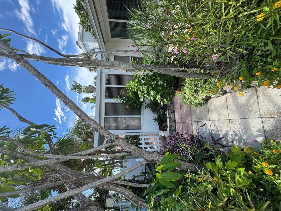 Street South House #54587 Apartment in Bradenton Beach
