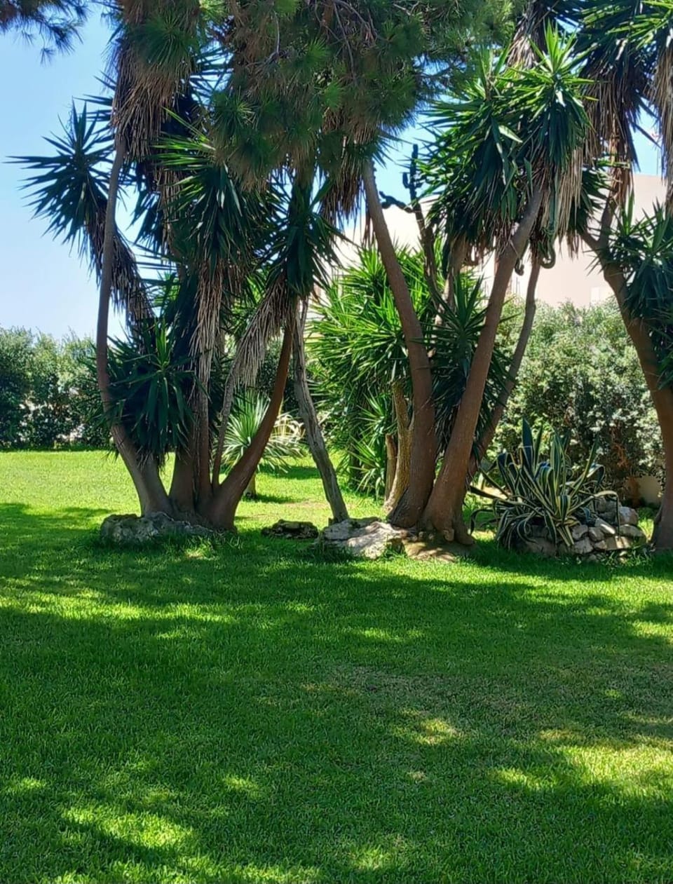 Spring, Garden view