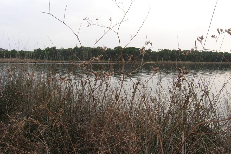 Lake view