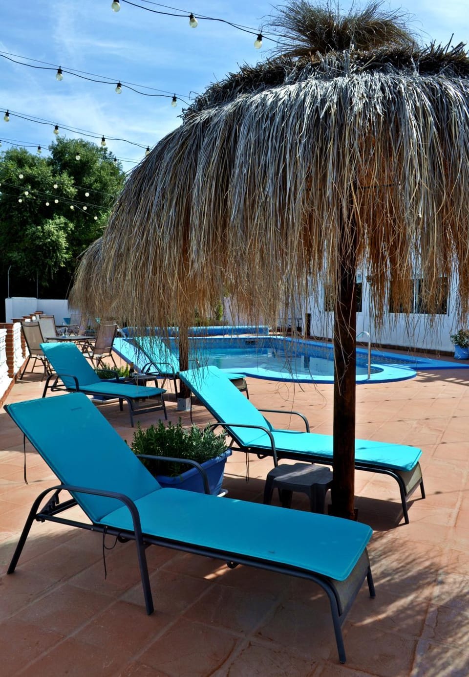 Patio, Day, Bathroom, Balcony/Terrace, Lounge or bar, Pool view, Swimming pool, sunbed