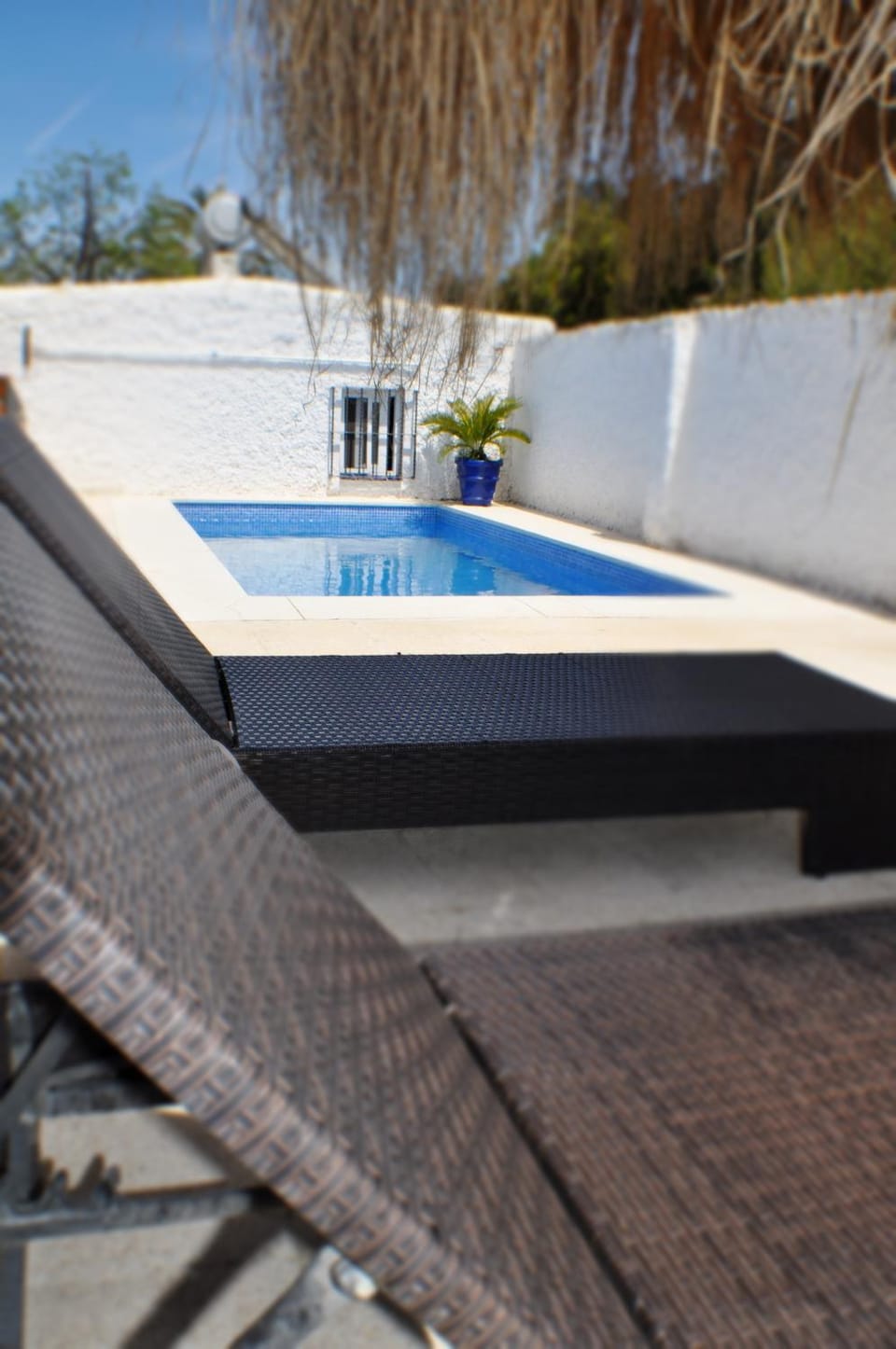 Day, Pool view, Swimming pool, sunbed