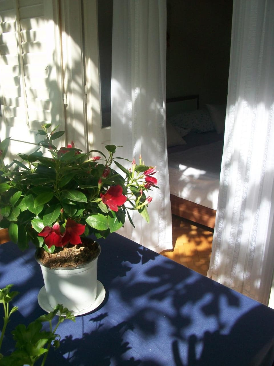 Balcony/Terrace, Dining area, Bedroom